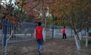 学生志愿服务活动进行时