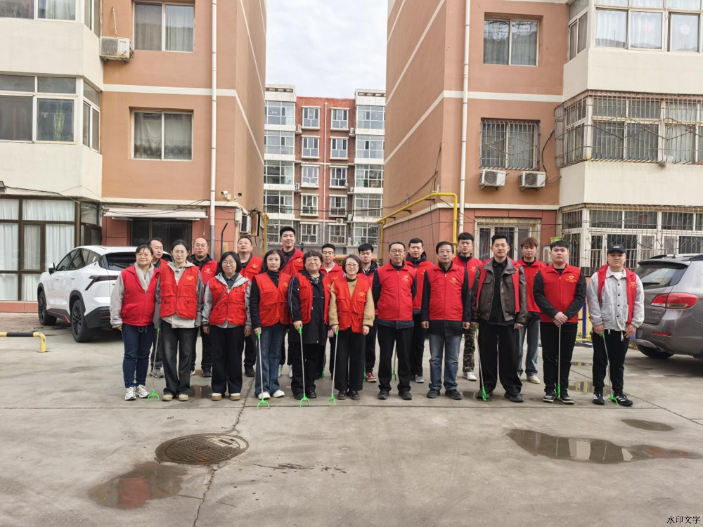 图片11