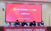 团委召开学习贯彻党的二十大精神线上专题研讨会