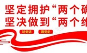 理论学习媒体链接