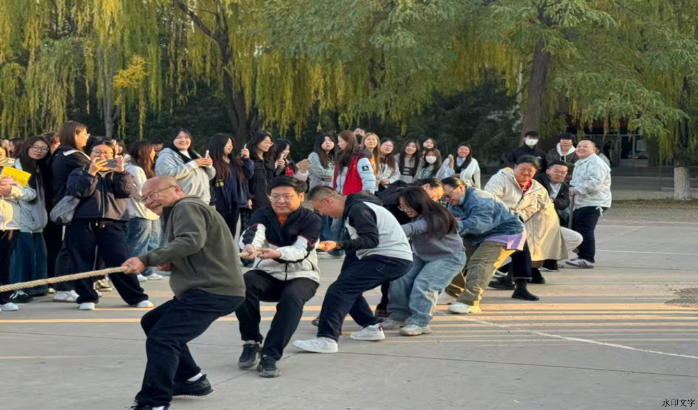 图片8