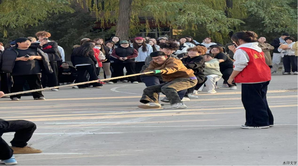 图片9